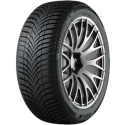 Giti Winter W2 ( 225/45 R17 91H, sa zaštitom za felne (MFS) )
