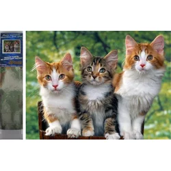 Norimpex - Puzzle Diamond Painting Cats 30x40cm - 1 - 39 kosov