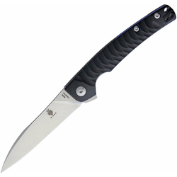 Kizer Cutlery Splinter Linerlock Black