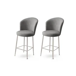 Hanah Home Set barskih stolica Alte, 2 komada, Sivi