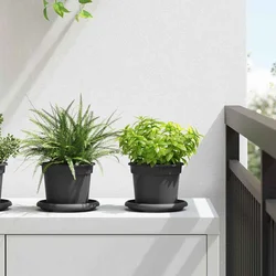 Saksije za biljke 24 pcs Crna O 12,5 x 10 cm Plastika
