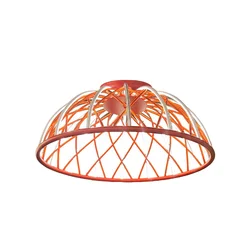 OPVIQ 3229 1 06 Red luster