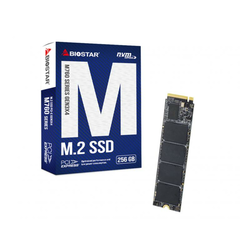 BIOSTAR SSD M.2 NVME 256GB Biostar 2800MBs/1700MBs M760