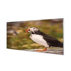 tulup.si Slika na akrilnem steklu Parrot 120x60 cm 4 obešalnika