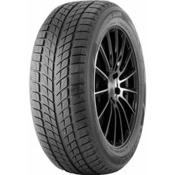 Double Star DW09 ( 225/45 R18 95T XL )
