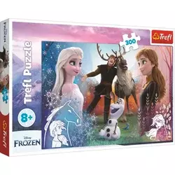 Tref line 23006 puzzle 300 froze ( t30062 )