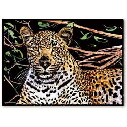shumee Magic Scratch Card Mysterious Cheetah 40x28 cm