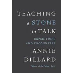 Teaching a Stone to Talk
