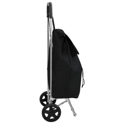 Kolica za kupovinu Crna 35 x 28 x 92 cm Oxford tkanina
