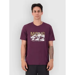 Mons Royale Icon Merino Tech Tee fig
