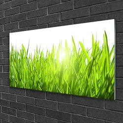 tulup.si Slika na steklu Grass nature rastlin 100x50 cm 2 obešalnika