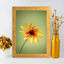Wallity Uramljena slika AC346430351, 24x29 cm