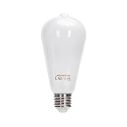 LED sijalica ST64 E27/10W/230V 6500K - Aigostar