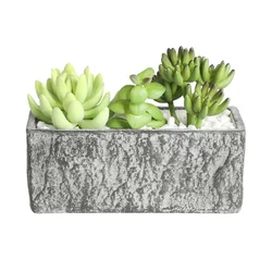 Eglo living veštačka biljka Chitose 428009