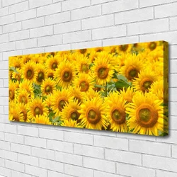 tulup.si Slika na platnu Sončnica rastlin narava 120x60 cm