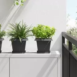 Kvadratna posuda za cvijeće 24 pcs Crna 15 x 15 x 2 cm Plastika
