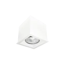 Brosline 1079 - Spot svetiljka CAGE 1xGU10/10W/230V bela