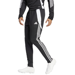 adidas Hlače TIRO24 TRPNT