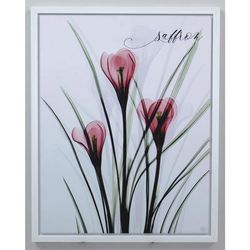 ŠTAMPA NA PLATNU   40/50 cm