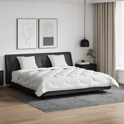 Set deka s jastukom 3 pcs Bijelo Mikrofibra i Pero