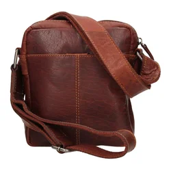 Lagen Merlin Brown
