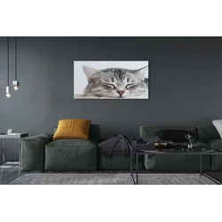 tulup.si Slika na platnu Zaspani maček 120x60 cm