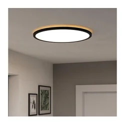 Eglo 901465-LED RGBW plafonsko kupatilsko svetlo ROVITO-Z 16,8W/230V prečnik 50 cm IP44 crna