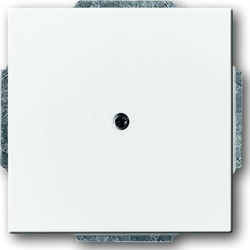 Busch-Jaeger Busch-Jaeger Centralni disk dav/sws slepi izhod s podpornim obročem 1742-84, (20858385)