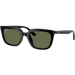 Ray-Ban Naočare za sunce RB 4439D 901/9A