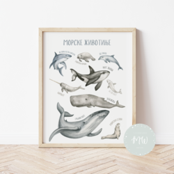 Its a moms world Edukativni poster za decu sa ramom Morske životinje A4, 3D