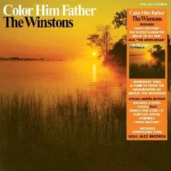 The Winstons - Color Him Father (Reissue) (2 LP)