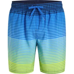 Firefly LARIO M SHADE STRIPE, moške kopalne hlače 434954