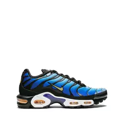 Nike - Air Max Plus OG sneakers - men - Blue