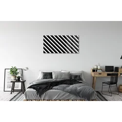 tulup.si Steklena slika Zebra stripes 100x50 cm 4 obešalnika