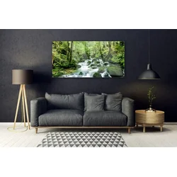 tulup.si Slika na steklu Forest stream river falls 140x70 cm 4 obešalnika
