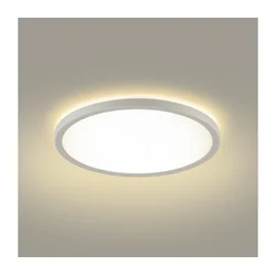 Brilagi - LED kupatilsko svetlo ULTRA SLIM LED/12W/230V pr. 22,5 cm belo IP54