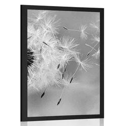 Plakat čarobni regrat v črnobeli varianti - 60x90 silver