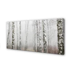 tulup.si Slika na platnu Breza megla 125x50 cm