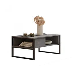 Hanah Home ML34 RG Sto za dnevnu sobu, Sivo-Crna