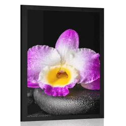Plakat s paspartujem vijolična orhideja na Zen kamnih - 60x90 white