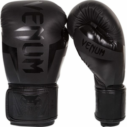 Venum Elite Boxing Gloves - Neo Matte/Black