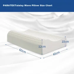 Paratex Jastuk, 12 x 60 x 40 x 10 cm, Beli