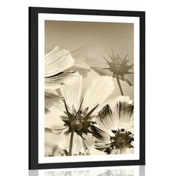 Plakat s paspartujem vrtni cvetovi v sepia varianti - 20x30 silver