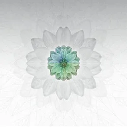 Tuomas Paukku - Description (LP)