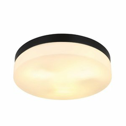 GLOBO plafonejra Vranos 32113B