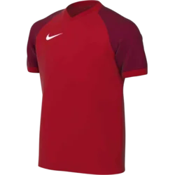 Nike Dres Dri-FIT Trophy VI Kids