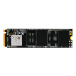 SSD Biostar M.2 NVMe 128GB M700128GB
