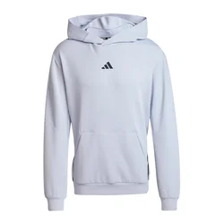 Adidas D4T HOODIE, muški pulover, siva KWE20