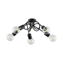Plafonski luster INTER 5xE27/15W/230V crni