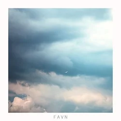 Julie Favn (LP)